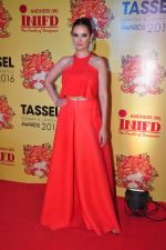 Evelyn Sharma at Tassel show on 8th May 2016